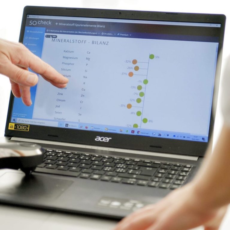 Vitalstoffanalyse